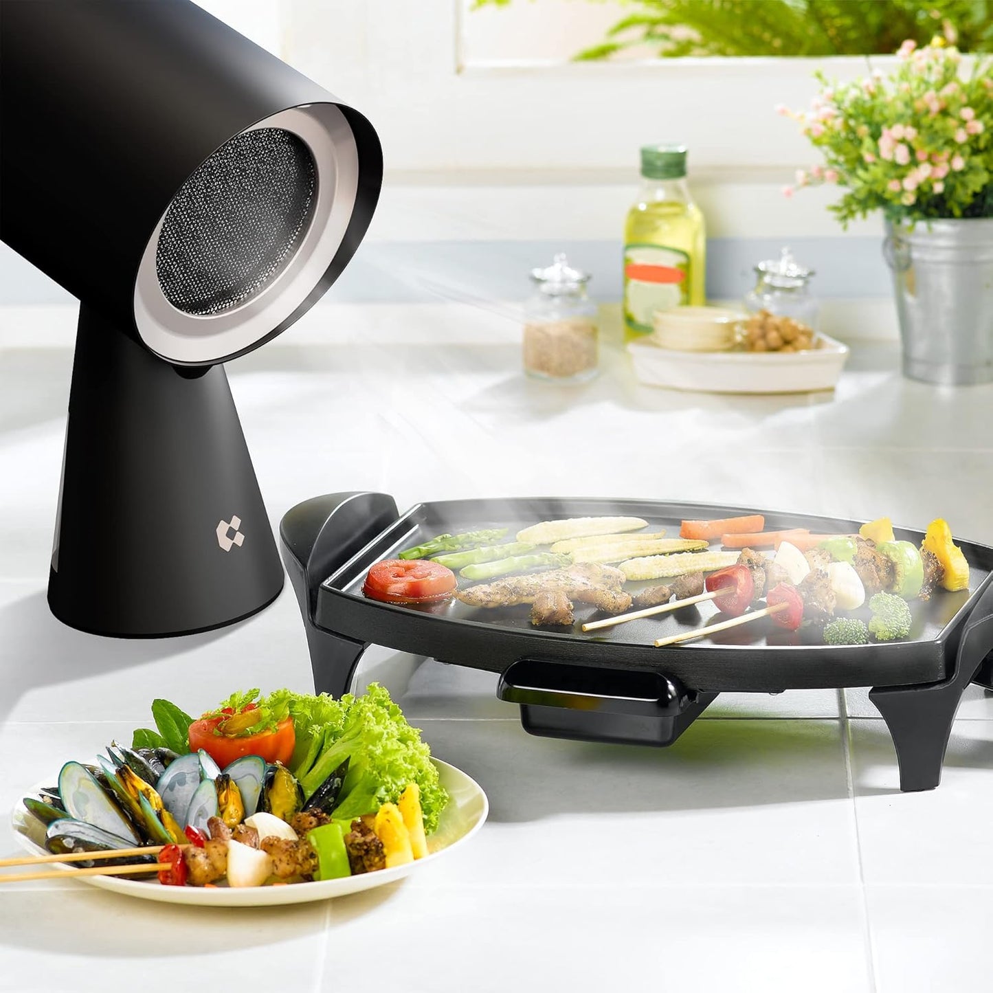 Portable Range Hood